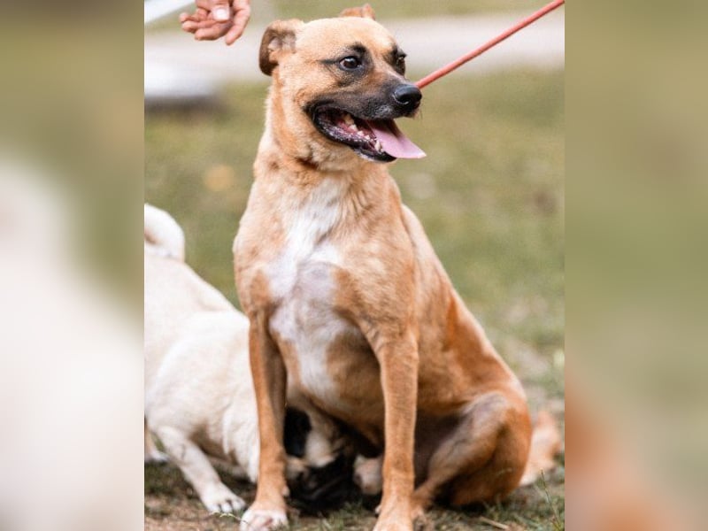 Teddy  wartet schon so lange!