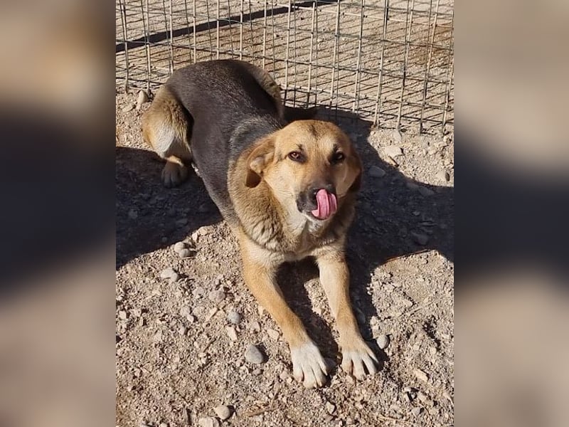 Bezaubernde Sersi wartet auf dich!