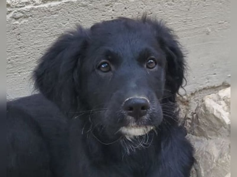 Mila ❤️ so süßes + lebensfrohes Mädchen!