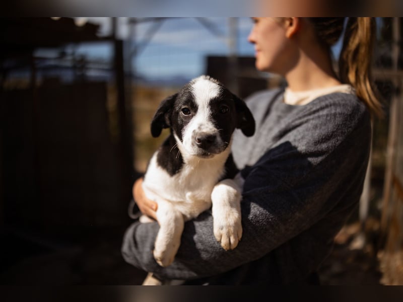 Kleine EMMY❤️ein zuckersüßes Energiebündel und voller Lebensfreude
