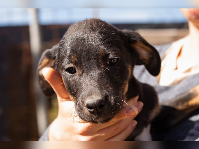 Jonas ❤️ fröhlicher + lebensfroher Schatz!