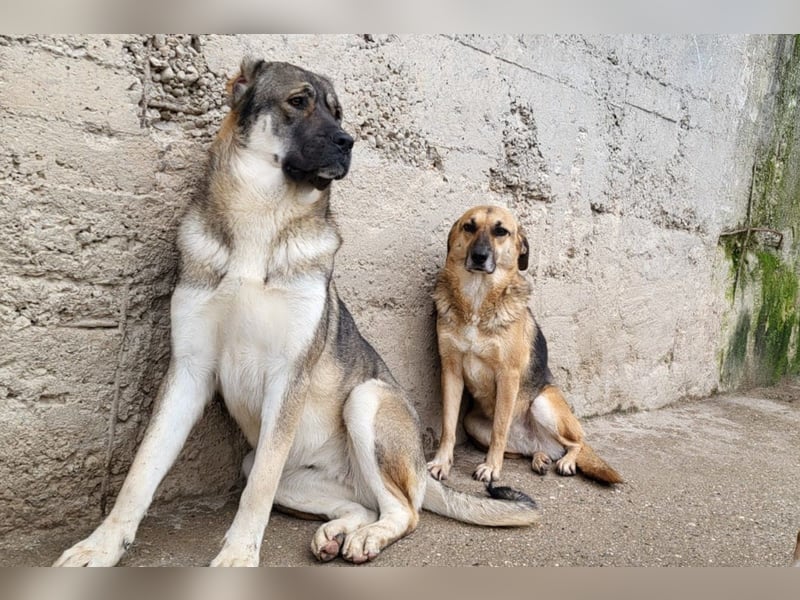 Bezaubernde Sersi wartet auf dich!