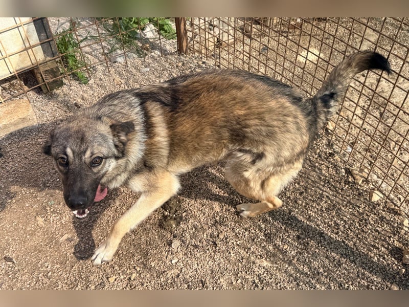 COCO❤️verspielt, sanft und voller Vertrauen: ein Herz für Groß und Klein!