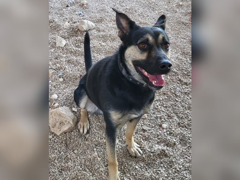 Otto ❤️ so freundlich und verträglich!