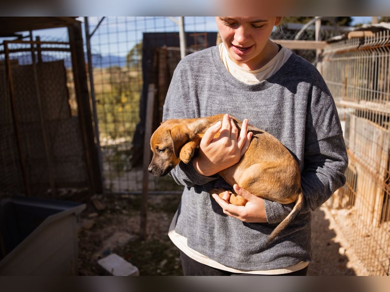 Tilly ❤️ aufgeweckte, lebenslustige Maus