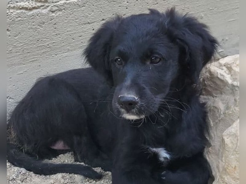 Mila ❤️ so süßes + lebensfrohes Mädchen!