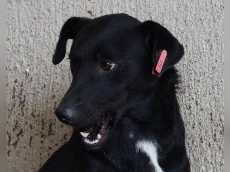 PINA❤️liebe, soziale Schönheit mit Charakter