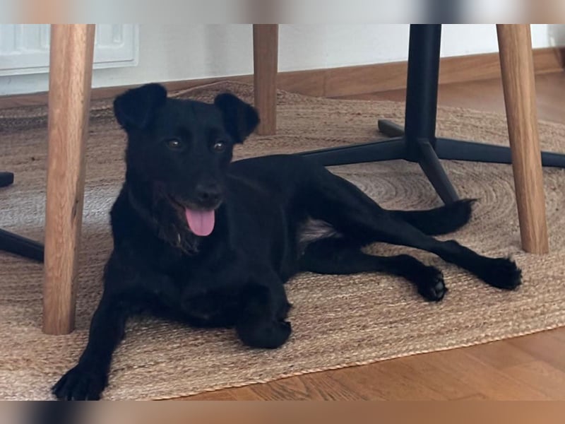 Ebony ❤️ wartet in 51469 Bergisch Gladbach auf dich