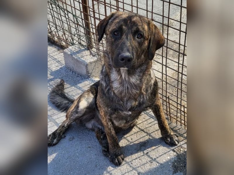 Ludwig ❤️ unser lieber Herzensbrecher Ludwig ❤️ unser lieber Herzensbrecher