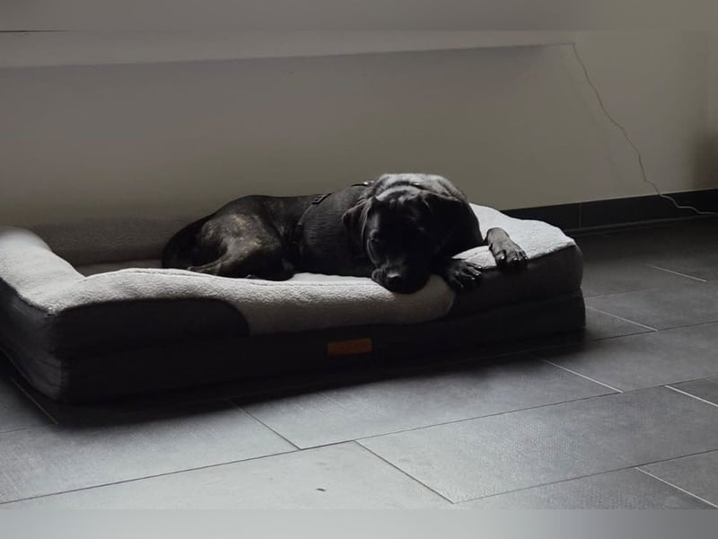 Mika ❤️ wartet in 27419 Klein Meckelsen auf deinen Besuch