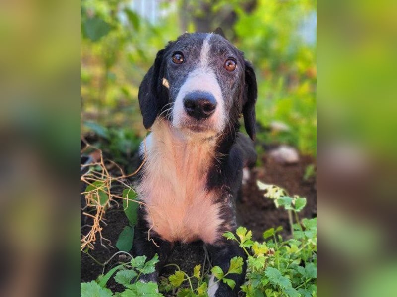 Genießerschnute ♥Mona♥ wartet bereits in 01640 Coswig auf dich/euch