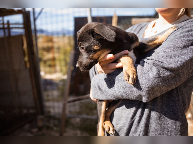 Jonas ❤️ fröhlicher + lebensfroher Schatz!