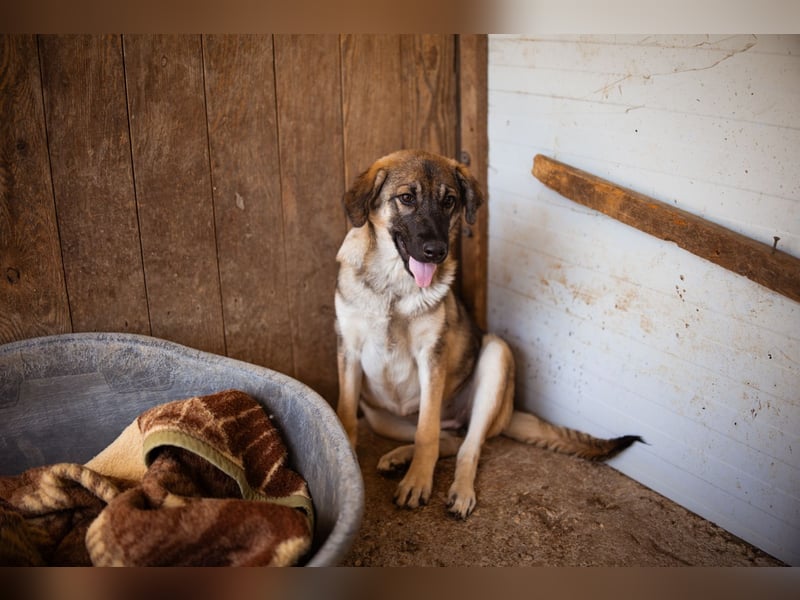 COCO❤️verspielt, sanft und voller Vertrauen: ein Herz für Groß und Klein!