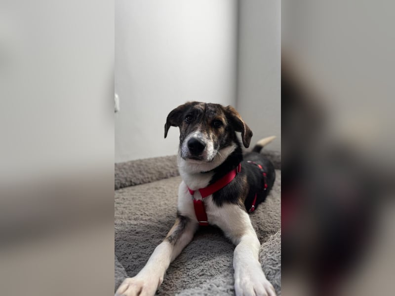 Zauberhafte Bini sucht ihre Menschen