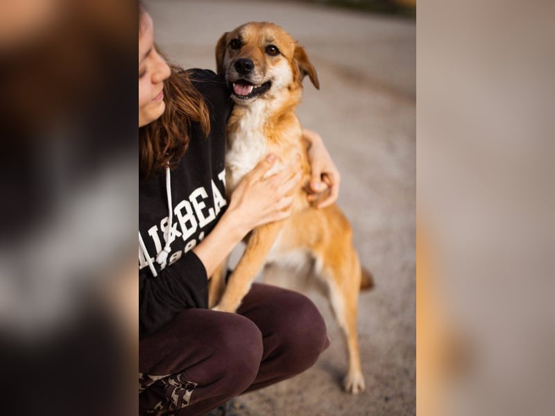 Linda & Luna -  dein Duo-Dreamteam auf 4 Pfoten