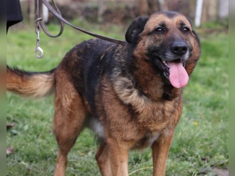 Einzelprinzessin Edna ❤️ sucht ihr Körbchen