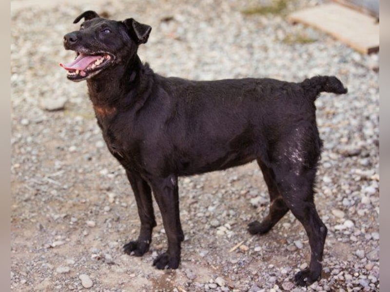 ♥Hana♥ wundervolle, liebe Zuckerschnute