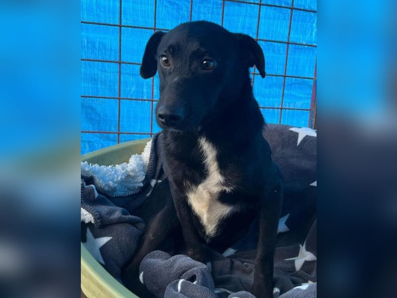 PINA❤️liebe, soziale Schönheit mit Charakter