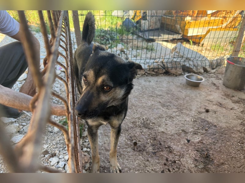 Otto ❤️ so freundlich und verträglich!