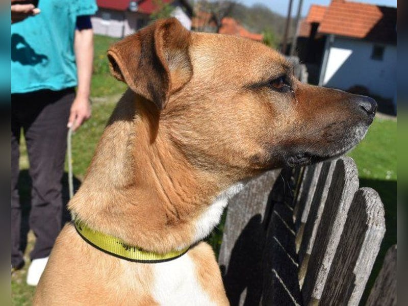 Teddy  wartet schon so lange!