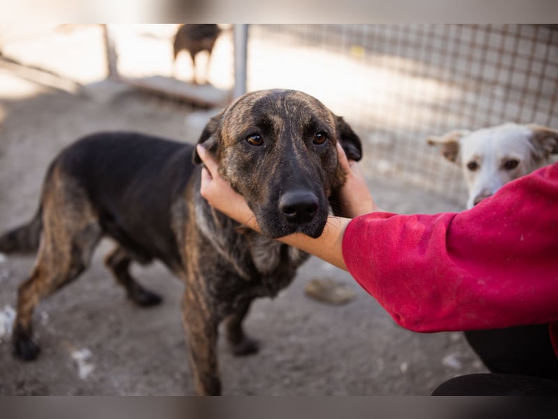 Ludwig ❤️ unser lieber Herzensbrecher Ludwig ❤️ unser lieber Herzensbrecher