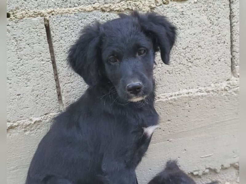 Mila ❤️ so süßes + lebensfrohes Mädchen!
