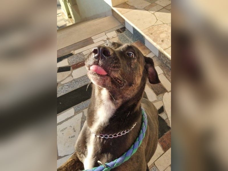 Goldige Godina | sozial,aktiv,lebensfroh 