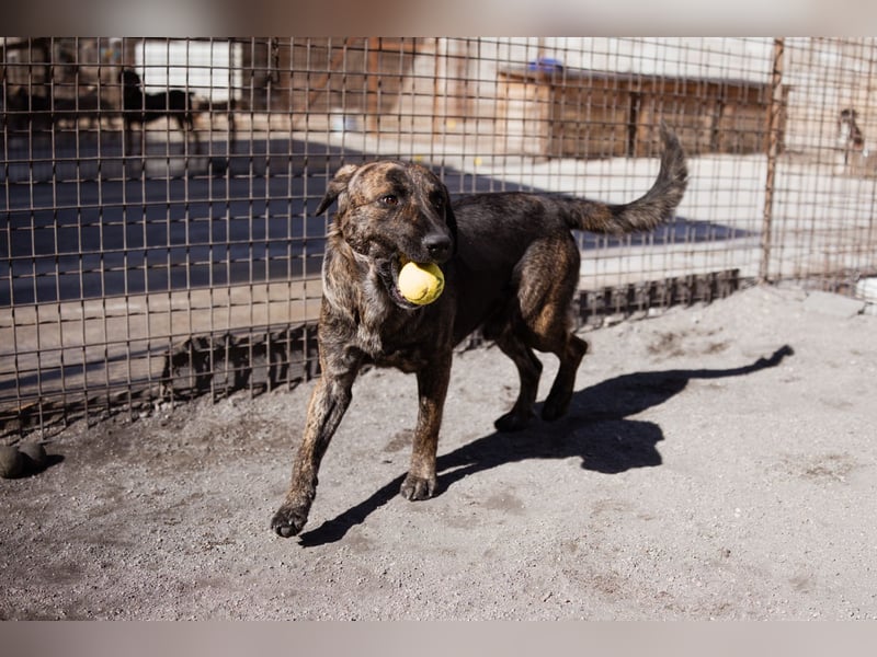 Ludwig ❤️ unser lieber Herzensbrecher Ludwig ❤️ unser lieber Herzensbrecher