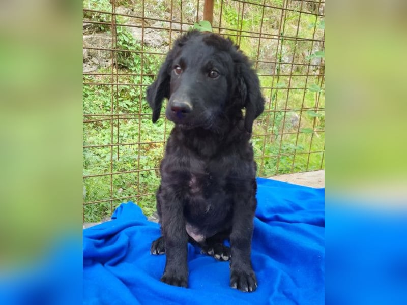 Yuki ❤️ froher, aufgeschlossener junger Bub!