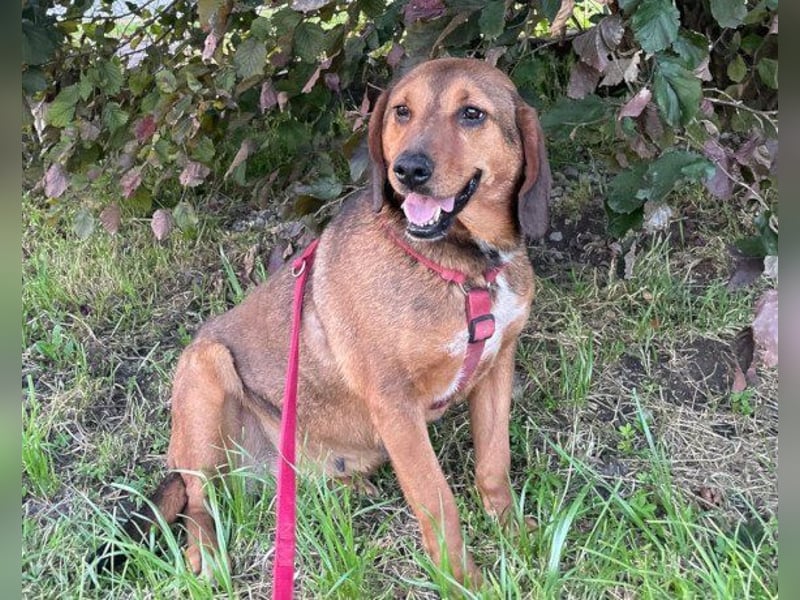 Mama Reina: pures Fellherz aus Liebe