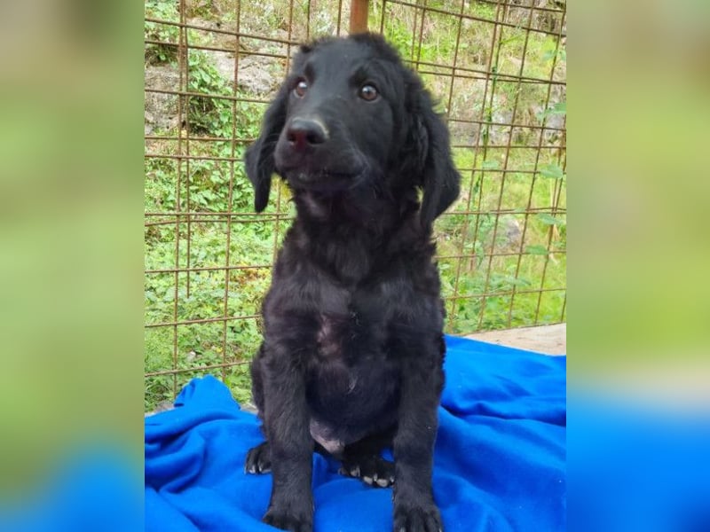 Yuki ❤️ froher, aufgeschlossener junger Bub!