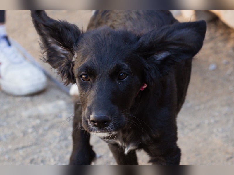 Mila ❤️ so süßes + lebensfrohes Mädchen!