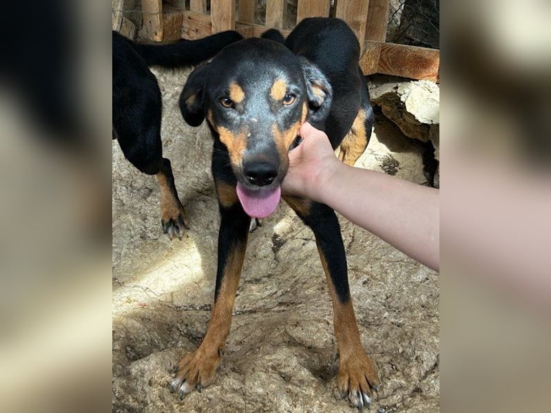 Mico ❤️ aufgeschlossen & verkuschelt!