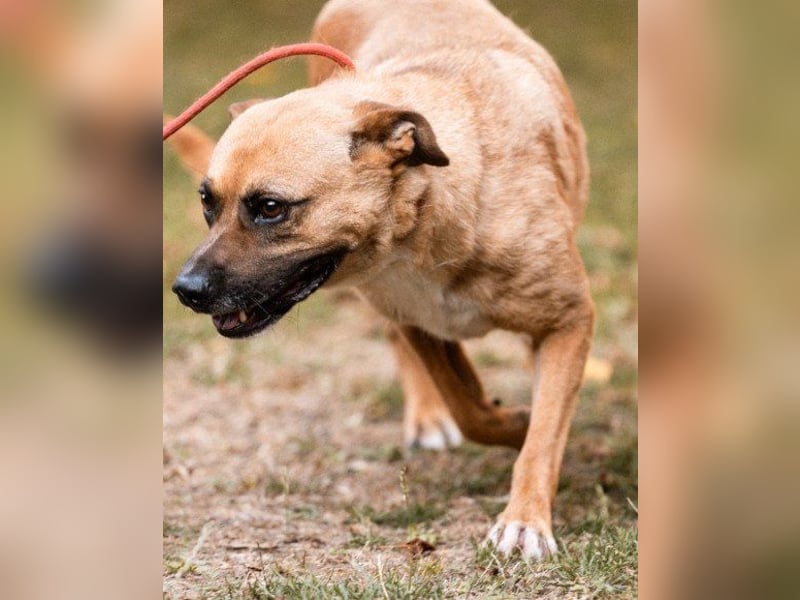 Teddy  wartet schon so lange!