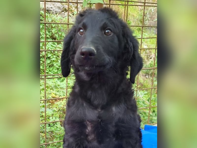 Yuki ❤️ froher, aufgeschlossener Bub!