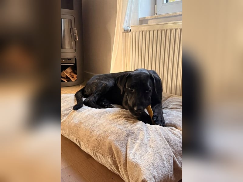 Mika ❤️ wartet in 27419 Klein Meckelsen auf deinen Besuch