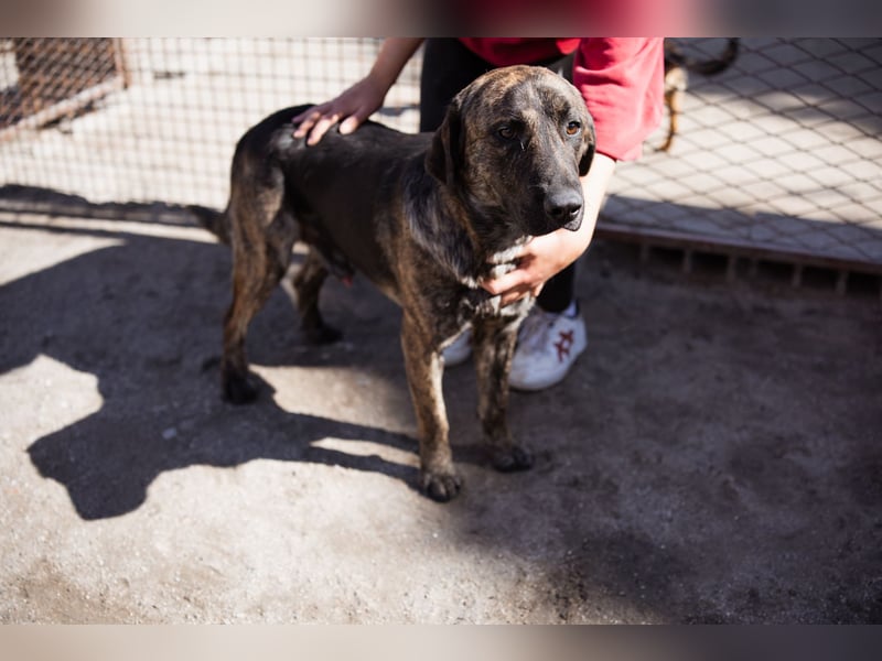 Ludwig ❤️ unser lieber Herzensbrecher Ludwig ❤️ unser lieber Herzensbrecher