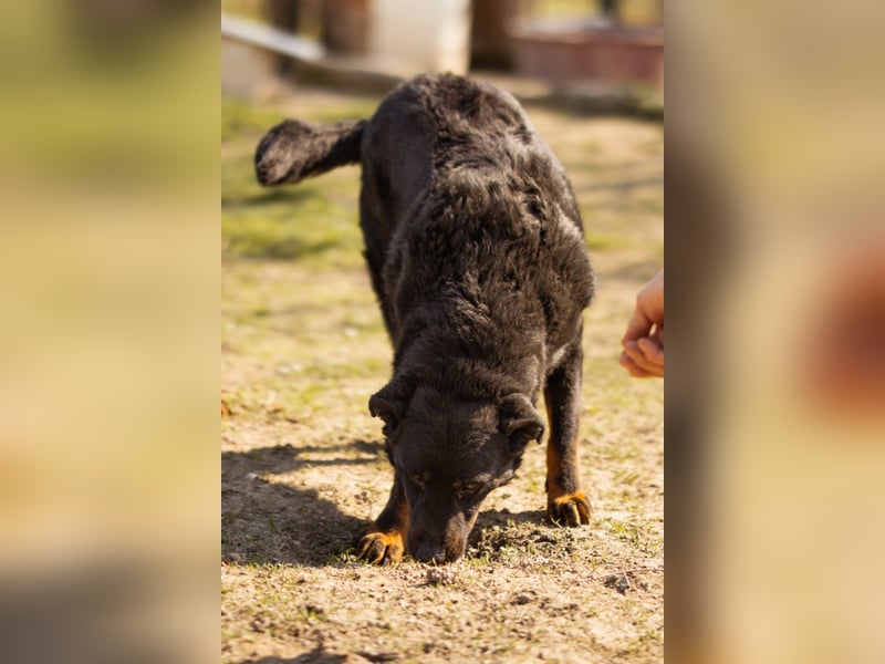 Aktiver Ares sucht seine aktiven Menschen