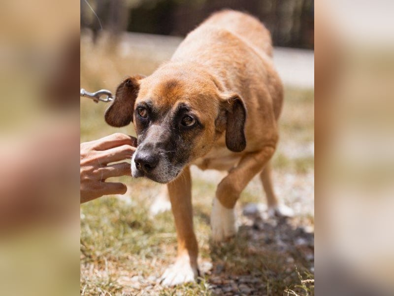 Liebste ♥Senka♥ mit einem großen Herzen