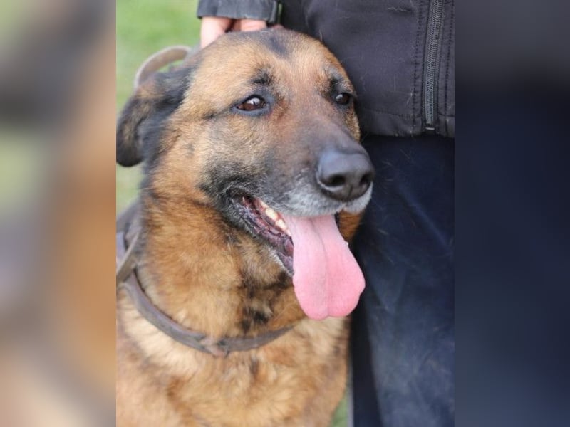 Einzelprinzessin Edna ❤️ sucht ihr Körbchen Einzelprinzessin Edna ❤️ sucht ihr Körbchen