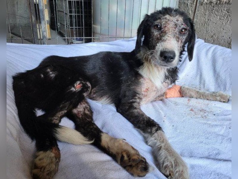 Genießerschnute ♥Mona♥ wartet bereits in 01640 Coswig auf dich/euch