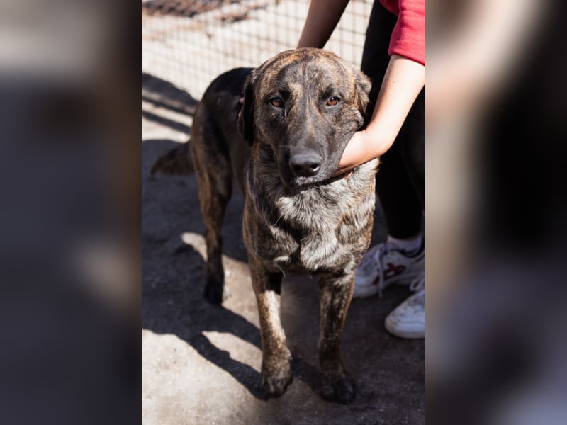 Ludwig ❤️ unser lieber Herzensbrecher Ludwig ❤️ unser lieber Herzensbrecher