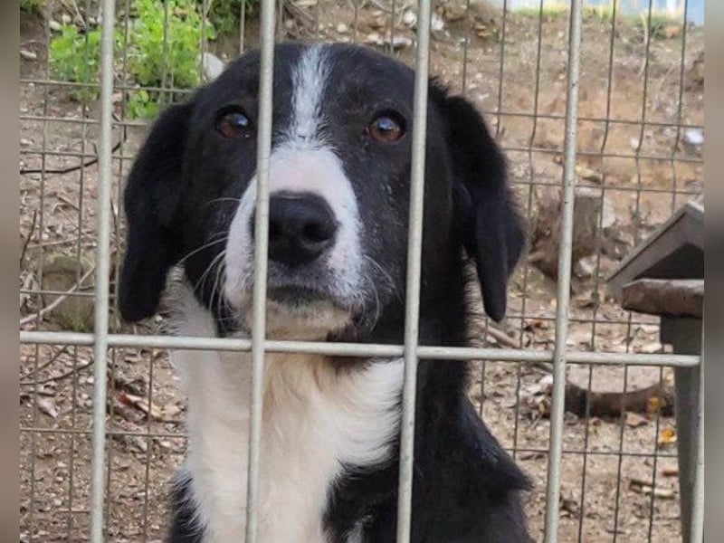 Genießerschnute ♥Mona♥ wartet bereits in 01640 Coswig auf dich/euch