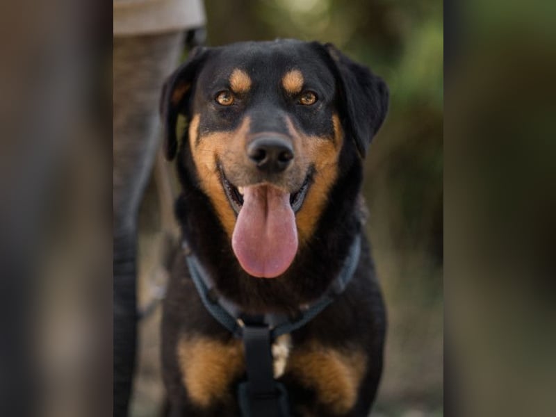 Mico ❤️ aufgeschlossen & verkuschelt!