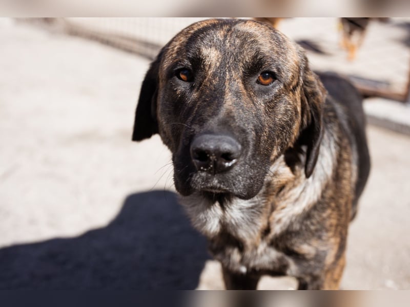 Ludwig ❤️ unser lieber Herzensbrecher Ludwig ❤️ unser lieber Herzensbrecher