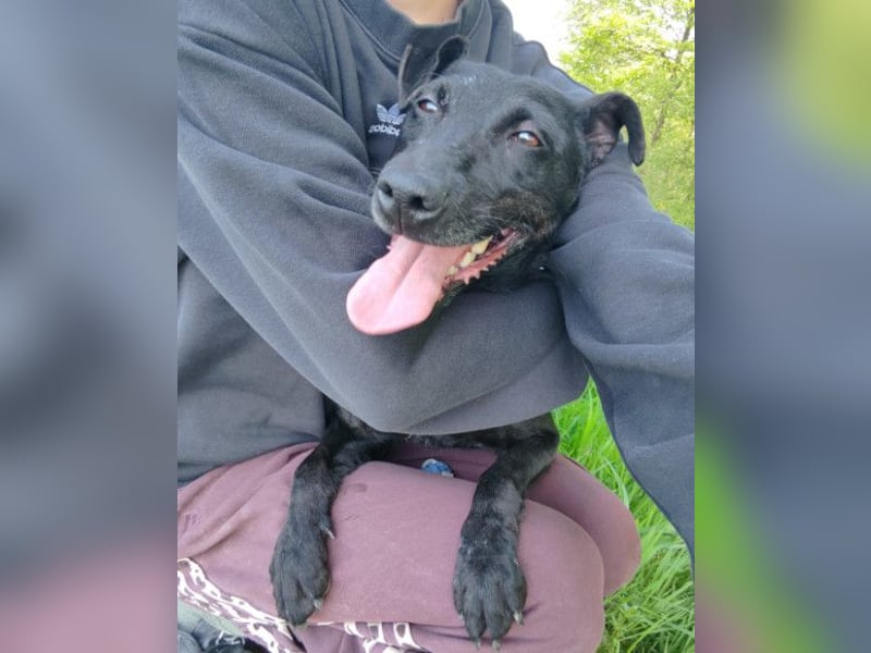 Hana ❤️ wundervolle, liebe Zuckerschnute