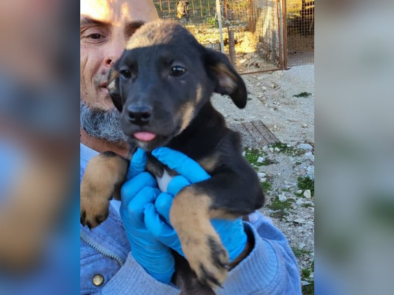 Jonas ❤️ fröhlicher + lebensfroher Schatz!