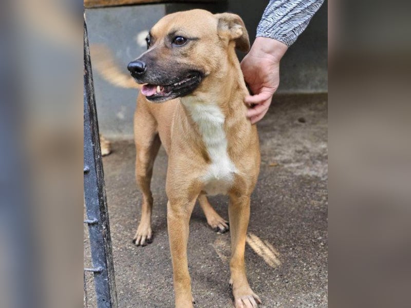 Teddy  wartet schon so lange!