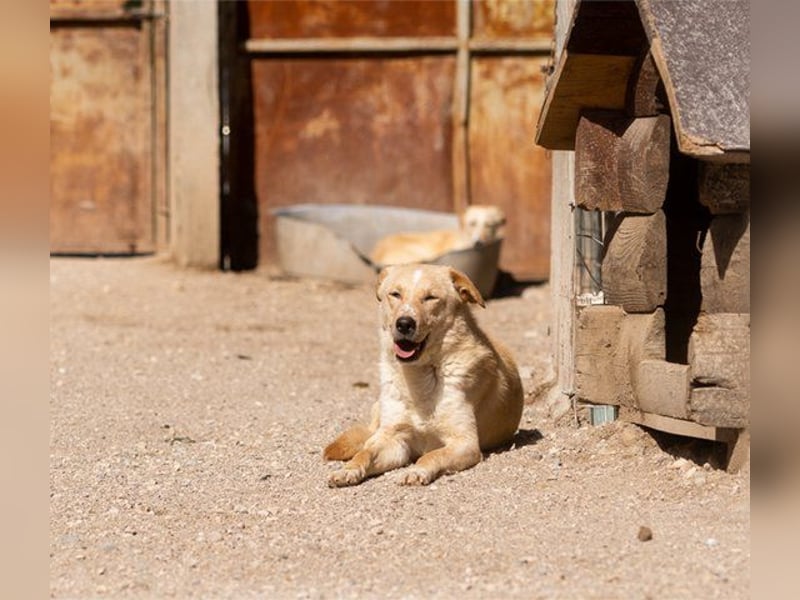 Bob wartet sehnsüchtig auf deine Anfrage