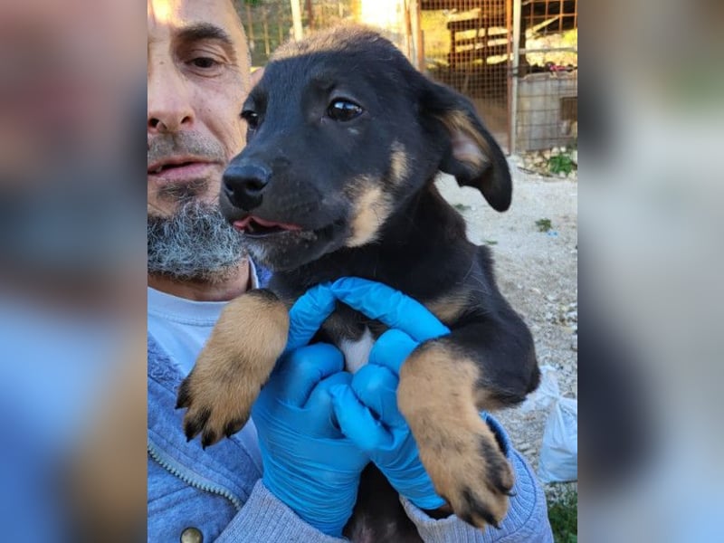 Jonas ❤️ fröhlicher + lebensfroher Schatz!